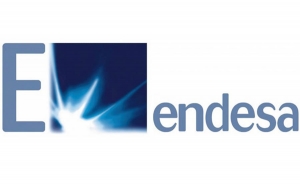 Endesa destinar&aacute; todo su beneficio neto a dividendo hasta 2019