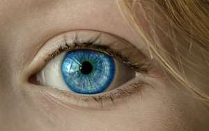 Cient&iacute;ficos crean lentes capaces de hacer 'zoom'