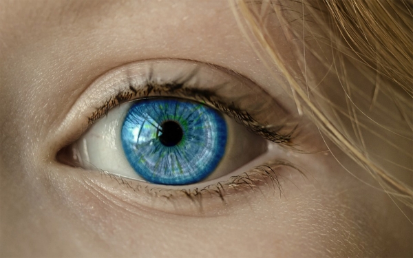Cient&iacute;ficos crean lentes capaces de hacer 'zoom'