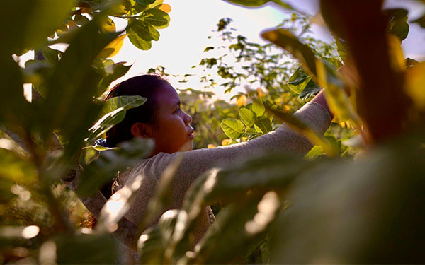 Liderazgo femenino rural que impulsa el desarrollo sostenible en Colombia