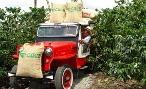 Caficultura colombiana tiene m&aacute;s presente qu&eacute; pasado: V&eacute;lez