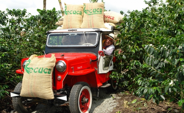 Caficultura colombiana tiene m&aacute;s presente qu&eacute; pasado: V&eacute;lez