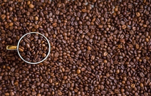 Noruega le apuesta a productores que cosechar&aacute;n el &ldquo;Caf&eacute; del futuro&rdquo;