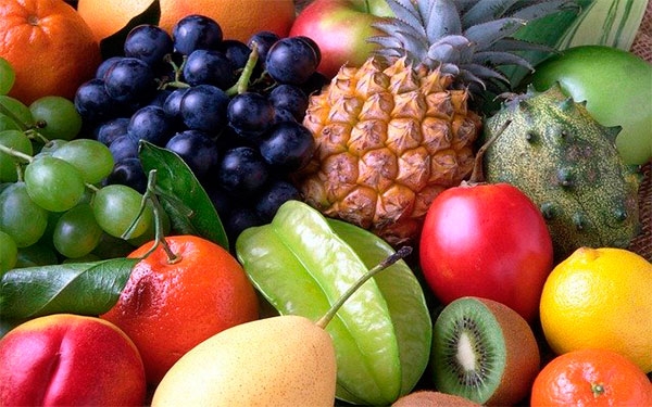 La agricultura solo es posible con el modelo cooperativo: Asohofrucol
