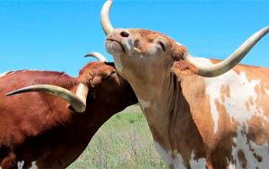 Asinfar Agro insta a crear futuro para recuperar la agricultura