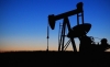 Con petr&oacute;leo a 30 d&oacute;lares, Colombia tendr&iacute;a solo 4,9 a&ntilde;os de reservas