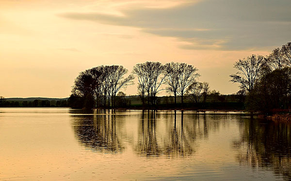 Semillas mejoradas, la clave para enfrentar el cambio clim&aacute;tico
