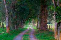 Nace &ldquo;Colombia Progresa 2630&rdquo;, hoja de ruta para el futuro socioecon&oacute;mico