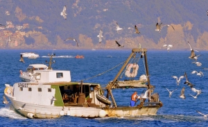 Per&uacute; espera exportar 3.000 millones en pesca para consumo humano en 2021