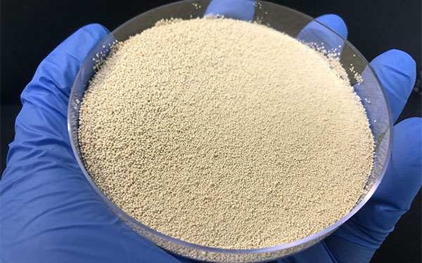 HiPhorius, soluci&oacute;n en dieta &uacute;nica, completa y rentable para aves y cerdos