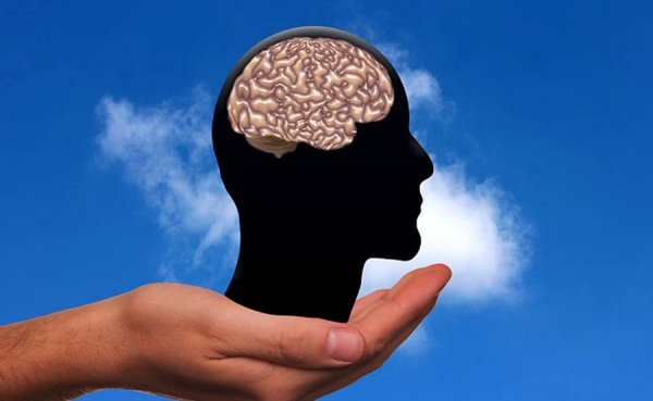 En 2021 Congreso Mundial de Neurocirug&iacute;a se realizar&aacute; en &Aacute;gora Bogot&aacute;