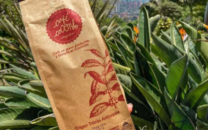 Cocondo, Caf&eacute; especial, de atributo, org&aacute;nico y amigo del medio ambiente