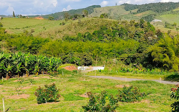 Recuperaci&oacute;n de los suelos, una apuesta del modelo de Agricultura Tropical
