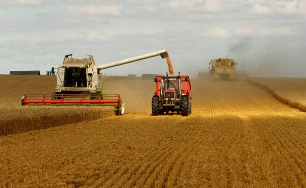 Indice de precios de alimentos registra su mayor ca&iacute;da mensual desde 2008
