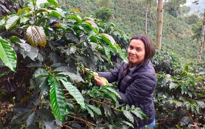 Fredonia, cuna de la caficultura paisa que inspir&oacute; la colonizaci&oacute;n antioque&ntilde;a