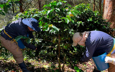 Agro colombiano, liquidez y pagos con nueva opci&oacute;n de confirming BBVA