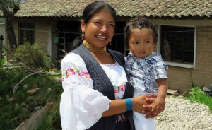 Estudio descarta que glifosato cause c&aacute;ncer en humanos