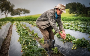 Microempresas rurales est&aacute;n llamadas a ser protagonistas en la nueva realidad